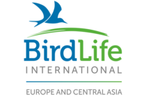 Birdlife